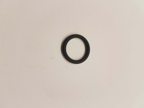O-RING Tappo Tanica SP600s
