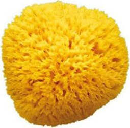 OKBABY Spugna naturale bagno Arcipelago Misura 12 Prima infanzia/Igiene e benessere/Bagnetto/Spugne e guanti Scontolo.net - Potenza, Commerciovirtuoso.it