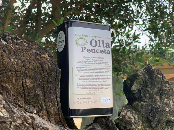 Latta 1L Olio EVO Intenso Olio Extra Vergine di Oliva Olla Peuceta - Padova, Commerciovirtuoso.it