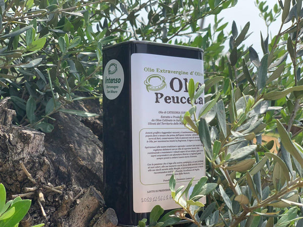 Latta 1L Olio EVO Intenso Olio Extra Vergine di Oliva Olla Peuceta - Padova, Commerciovirtuoso.it