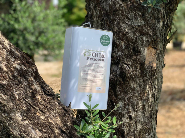 Latta 3L Olio EVO Delicato Olio Extra Vergine di Oliva Olla Peuceta - Padova, Commerciovirtuoso.it