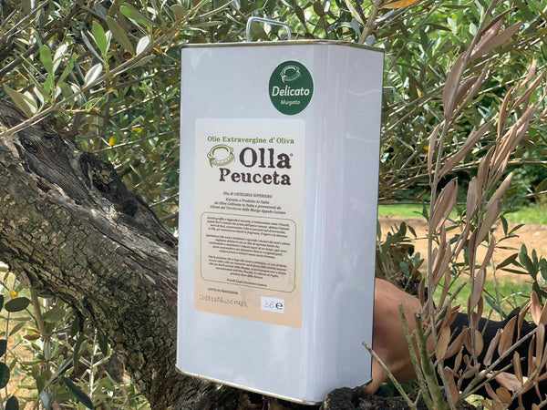 Latta 3L Olio EVO Delicato Olio Extra Vergine di Oliva Olla Peuceta - Padova, Commerciovirtuoso.it
