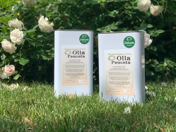 Latta 3L Olio EVO Delicato Olio Extra Vergine di Oliva Olla Peuceta - Padova, Commerciovirtuoso.it