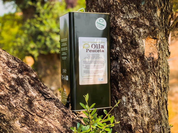 Latta 3L Olio EVO Delicato Olio Extra Vergine di Oliva Olla Peuceta - Padova, Commerciovirtuoso.it
