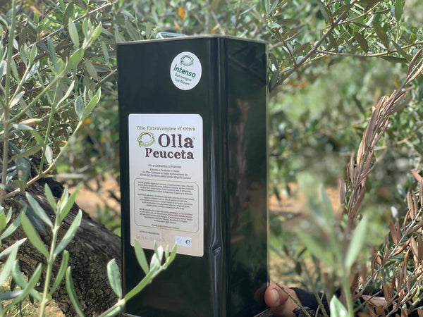 Olio Extra Vergine d'Oliva Pugliese EVO Intenso origine Puglia OLLA PEUCETA Latta 3L Olio Extra Vergine di Oliva Olla Peuceta - Padova, Commerciovirtuoso.it