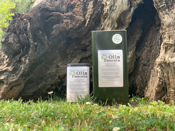Olio Extra Vergine d'Oliva Pugliese EVO Intenso origine Puglia OLLA PEUCETA Latta 3L Olio Extra Vergine di Oliva Olla Peuceta - Padova, Commerciovirtuoso.it