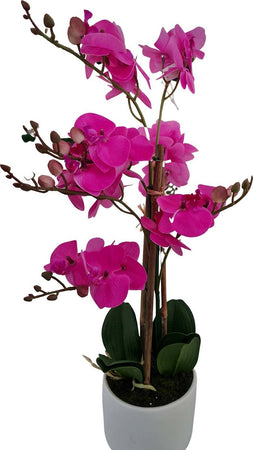 Orchidea artificiale fucsia con vaso decorazione natalizia per interno h 50 cm Casa e cucina/Decorazioni per interni/Addobbi e decorazioni per ricorrenze/Decorazioni natalizie/Ghirlande e corone MagiediNatale.it - Altamura, Commerciovirtuoso.it