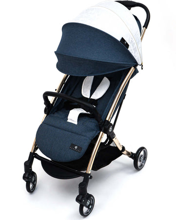 Passeggino-Barotti-Matico