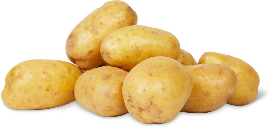 Patate Italiane Agria Gialla Patata Tardiva coltivate in Abruzzo Prodotta in Italia Azienda Agricola Di Berardino Matteo