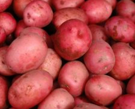 Patate Rosse Italiane Patata rossa di qualità Labella Senza glutine Prodotta in Italia Patate per Gnocchi e Frittura
