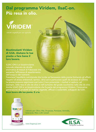 Biostimolante naturale per ulivi "ILSAC-ON" a base di idrolizzato enzimatico Fabaceae 1 lt