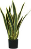 Pianta ornamentale Sansevieria - artificiale - polietilene - 21 foglie - 75 cm - King Collection Casa e cucina/Decorazioni per interni/Piante e fiori artificiali/Piante artificiali Eurocartuccia - Pavullo, Commerciovirtuoso.it