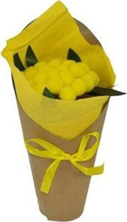 Piantina-Mimosa-Con-Cartoncino-E-Fiocco-Idea-Regalo-Fiori-Ragazza-Decorazione