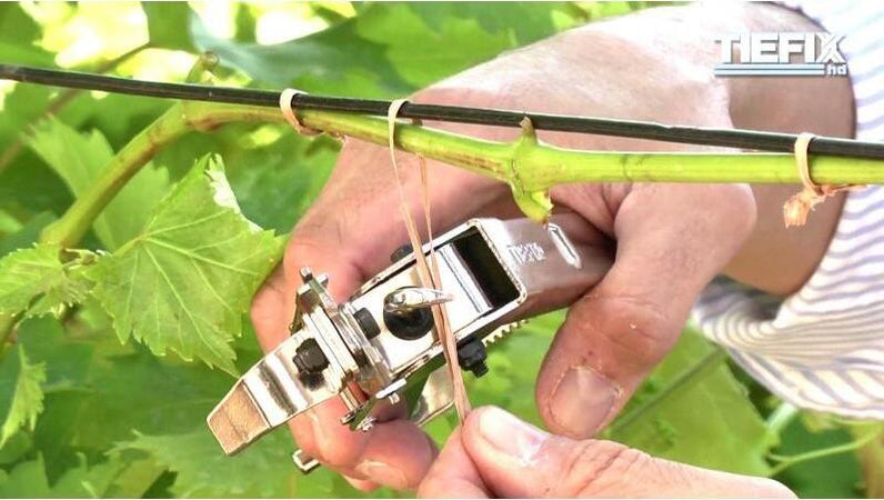 Piattina filo cartonata per fissaggi manuali o con pinza legatrice 250 mt