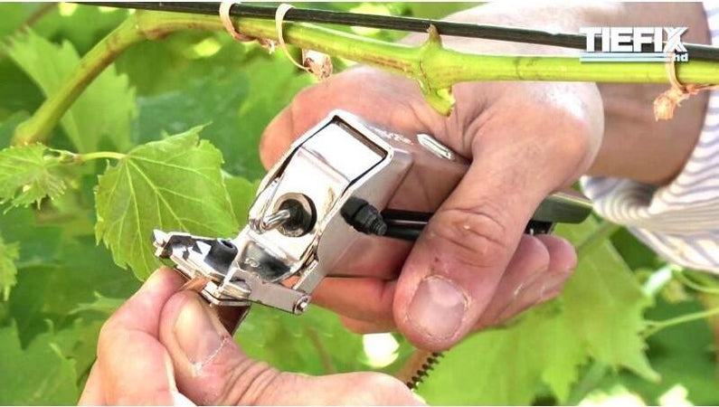 Piattina filo cartonata per fissaggi manuali o con pinza legatrice 250 mt