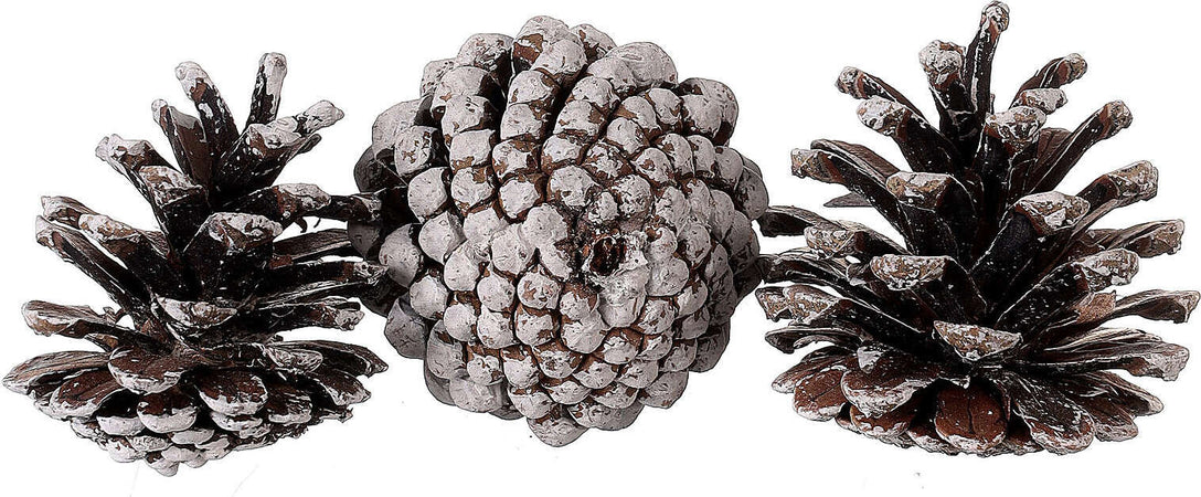 Pigne naturali innevate e stabilizzate da 5 cm per decorazioni natalizie 63 pz Casa e cucina/Decorazioni per interni/Addobbi e decorazioni per ricorrenze/Decorazioni natalizie/Oggettistica MagiediNatale.it - Altamura, Commerciovirtuoso.it