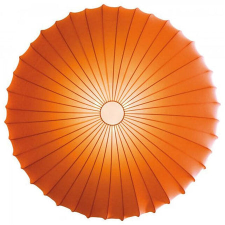 Product Image-5