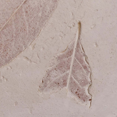 Plafoniera-Toscot-VIVALDI-1064-45x45-GX53-LED-galestro-terracotta-lampada-soffitto-classica-rustica-interno