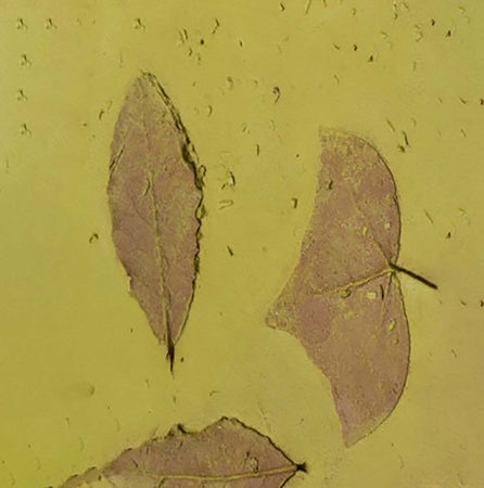 Plafoniera-Toscot-VIVALDI-1064-45x45-GX53-LED-galestro-terracotta-lampada-soffitto-classica-rustica-interno