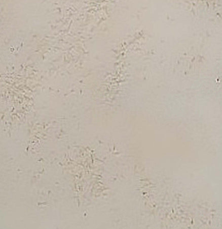 Plafoniera-Toscot-VIVALDI-1064-45x45-GX53-LED-galestro-terracotta-lampada-soffitto-classica-rustica-interno