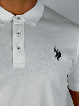 Polo-Arn-bianco