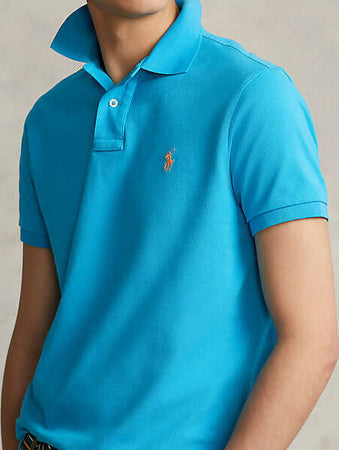 Polo Ralph Lauren Custom Fit Uomo Polo Mezze Maniche Corte Con Colletto 100% Cotone Pony Ricamato Maglia Uomo Estiva Moda/Uomo/Abbigliamento/Abbigliamento sportivo/Camicie e T-shirt sportive/Polo Euforia - Bronte, Commerciovirtuoso.it