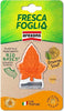 Profumatore-auto-Arexons-1844-FRESCA-FOGLIA-Arancio