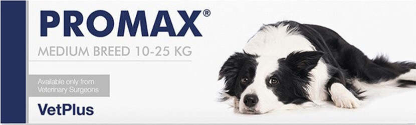 PROMAX-MEDIUM-BREED-18-ML