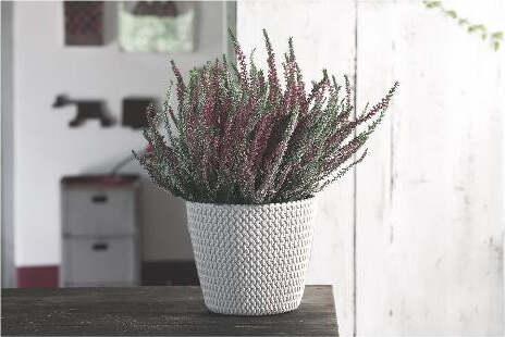 Prosperplast-Vaso-Piante-Tondo-SPLOFY-Bianco