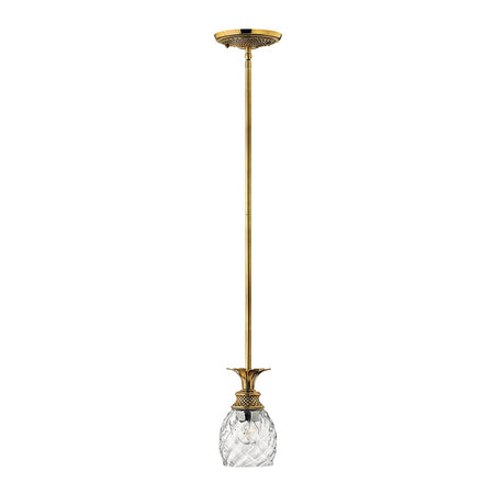 Sospensione Contemporanea Plantation Ottone Bronzo Brunito Vetro 1 Luce E27