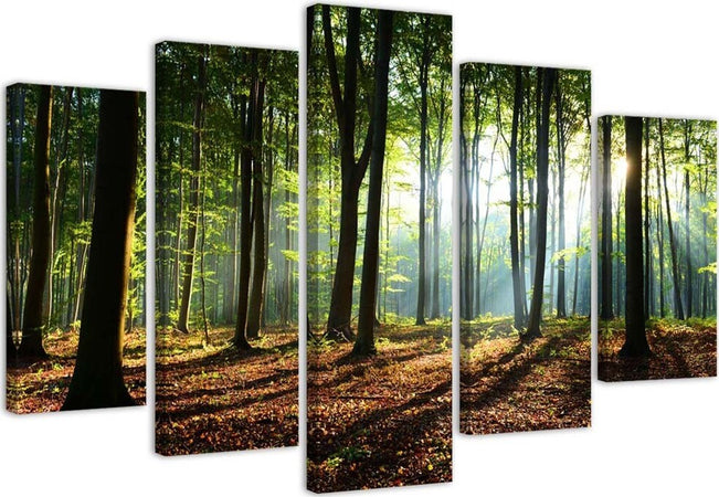 Quadri-Quadro-5-pezzi-Stampa-su-tela-Foresta-Verde-Natura