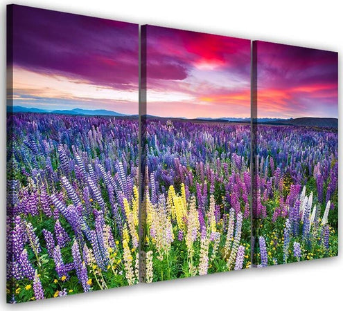 Quadro-su-tela-3-pezzi-Campo-di-lavanda-Natura