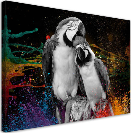 Quadro-su-tela,-Astrazione-di-pappagalli-colorati