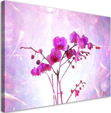 Quadro-su-tela,-Orchidea-essenziale