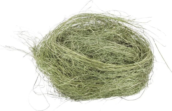RAYHER---20gr---FILI-D'ERBA-ESSICCATA-PER-DECORAZIONI---COLORE-VERDE-SCURO