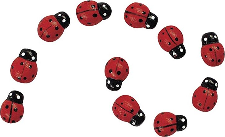 RAYHER---24-PEZZI---MINIATURA-IN-LEGNO-COCCINELLA