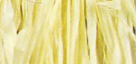RAYHER---FASCIO-DI-RAFIA-NATURALE-25gr---COLORE-GIALLO