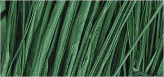 RAYHER---FASCIO-DI-RAFIA-NATURALE-25gr---COLORE-VERDE