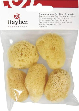 RAYHER---SET-SPUGNE-NATURALI-FINA-PORI-SOTTILI-3,5-5CM-5PZ