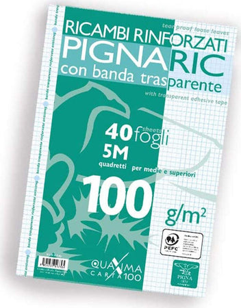 Ricambi-rinforzati-a4-100gr-5M-Pigna