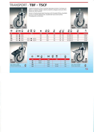 RUOTA GRIGIA CON PERNO E FRENO TBBF CEBORA DIAMETRO 60 80 100 125 Fai da te/Prodotti per la costruzione/Prodotti per il trasporto materiali/Rotelle industriali/Rotelle piatte Trade Shop italia - Napoli, Commerciovirtuoso.it