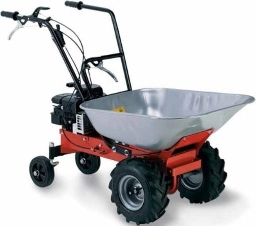 MOTOCARRIOLA A SCOPPIO 123 CC CARRY 450-RATO