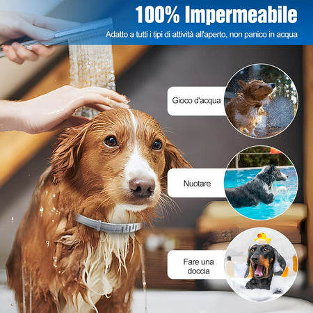 COLLARE ANTIPULCI ZECCHE CANE