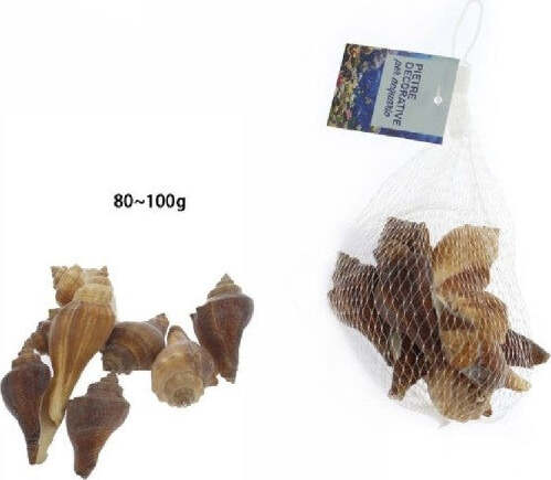 Sacchetto-Conchiglie-Mare-Decorazione-Decoro-Per-Acquario-Da-80---100-Gr.-70282