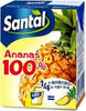 Confezione da 24 pezzi Santal Premium Ananas 100% Brik 200ml succo di frutta Non solo caffè online - Albano Laziale, Commerciovirtuoso.it