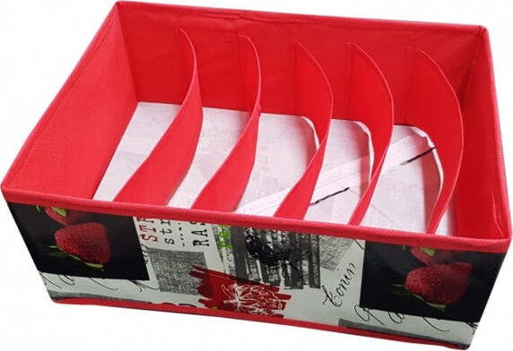 Scatola-Box-32x24x12-Cm-6-Comparti-Biancheria-Oggetti-Contenitore-Salvaspazio