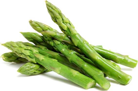 Semi di asparagi ortaggio pianta da orto e giardino Giardino e giardinaggio/Piante semi e bulbi/Piante da esterno/Vegetali La Zappa - Altamura, Commerciovirtuoso.it
