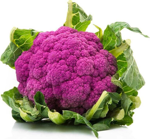Semi di cavolfiore violetto di Sicilia febbrarese piante per orto e giardino Giardino e giardinaggio/Piante semi e bulbi/Piante da esterno/Vegetali La Zappa - Altamura, Commerciovirtuoso.it