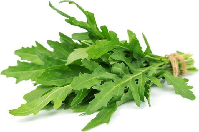 Semi di rucola selvatica foglia frastagliata rughetta insalata orto eruca sativa Giardino e giardinaggio/Piante semi e bulbi/Piante da esterno/Vegetali La Zappa - Altamura, Commerciovirtuoso.it