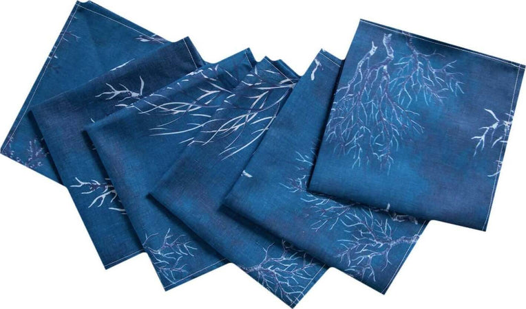 Set Di 6 Tovaglioli Da Tavola In Stoffa 45 X 45 Cm 100% Cotone Stampa Digitale Dai Colori Vivi Ed Intensi Lavabili In Lavatrice Made In Italy Mare Profondo Casa e cucina/Tessili per la casa/Tessili da cucina/Tovaglioli Novilunio - Sesto San Giovanni, Commerciovirtuoso.it